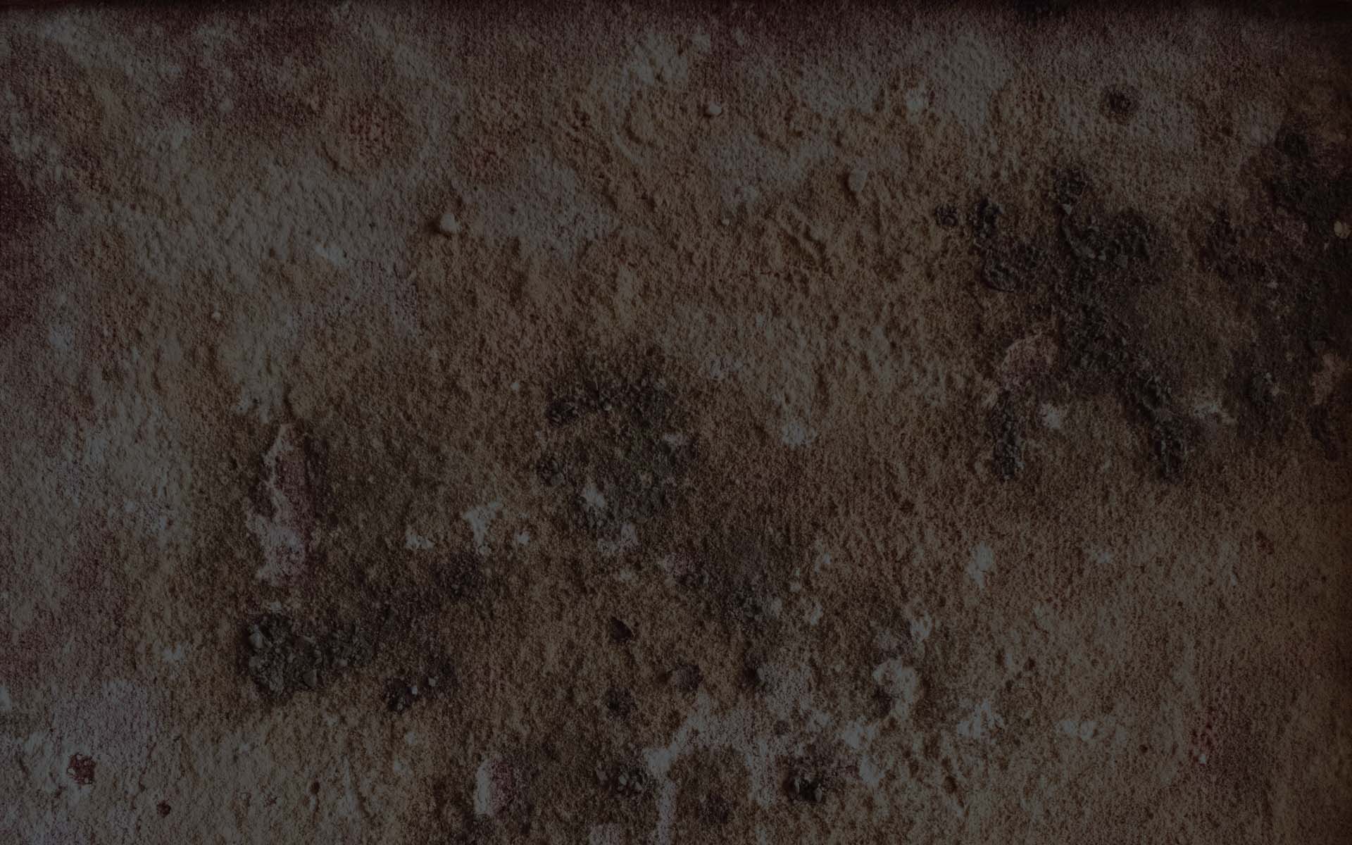 Mold Removal in Gilbert, AZ