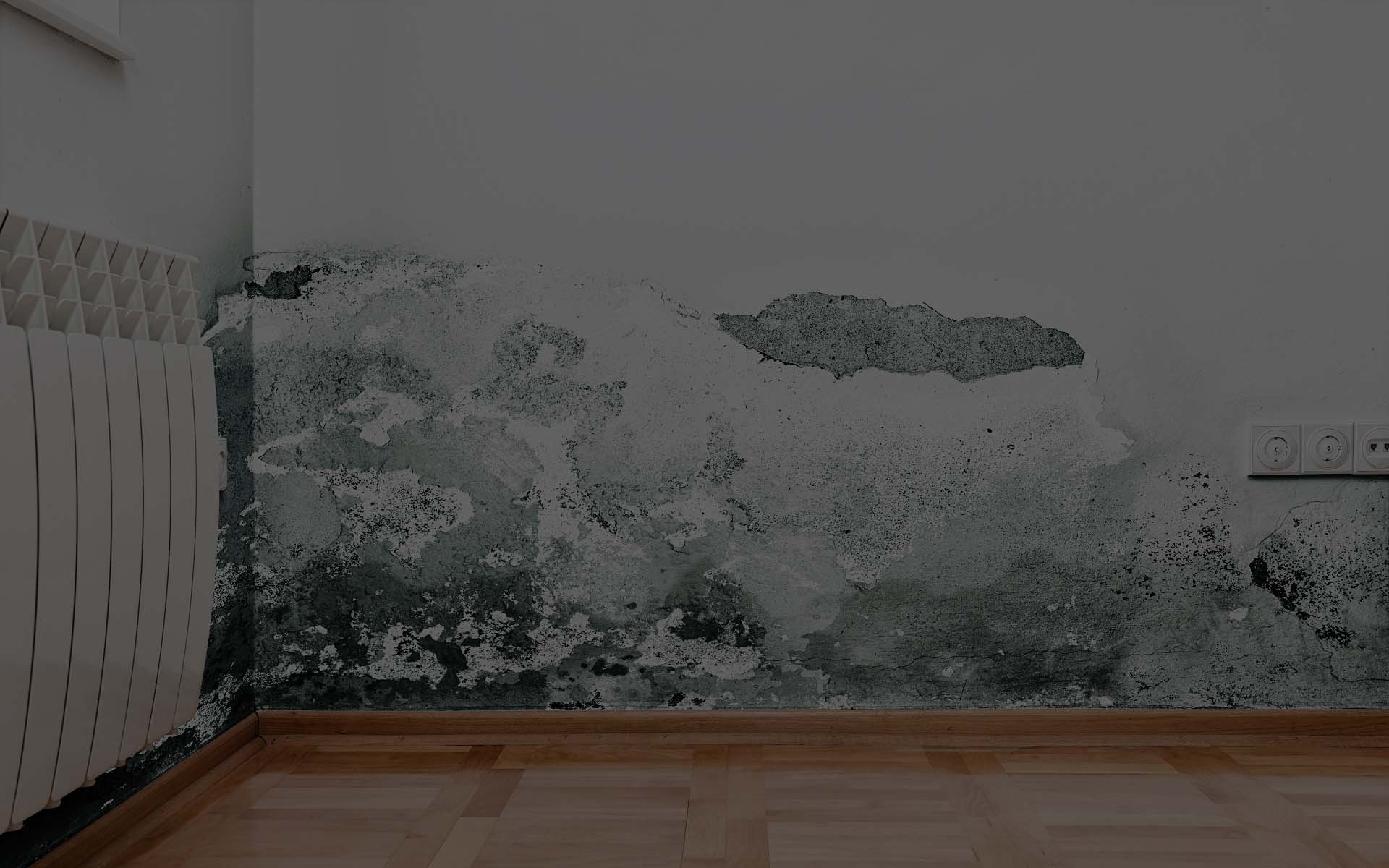 water damage restoration service in Gilbert